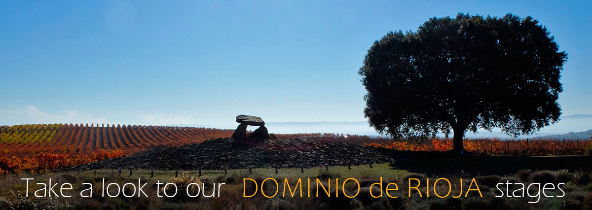 Thumb Stages Domaine-de-Rioja