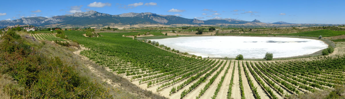 Laguna de Laguardia