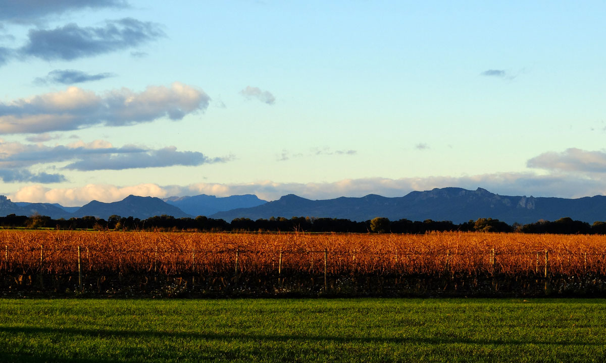 Horizonte de Montes Obarenes