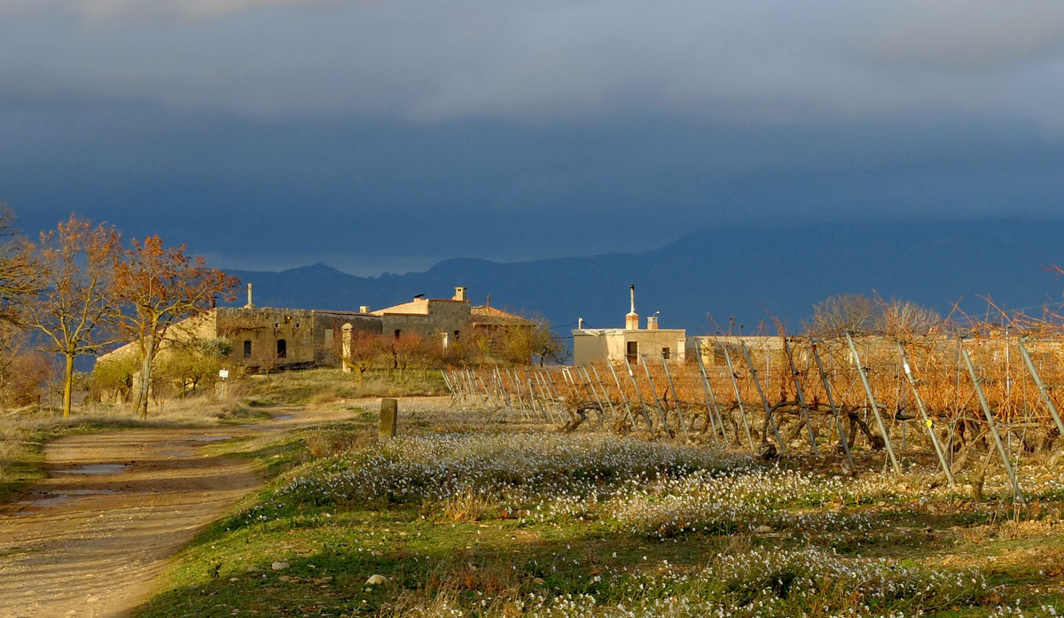 Barrio Bodegas Rodezno