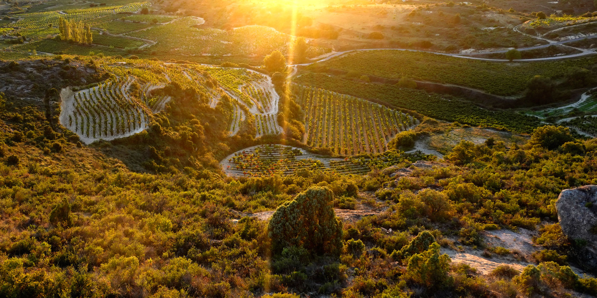 Terroir-Las-Beatas