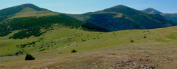 Pano La Demanda